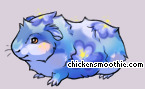 Pet