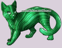 Pet
