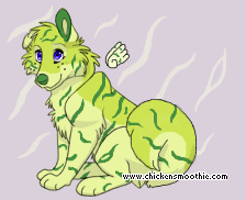 Pet