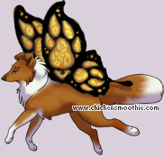 Pet