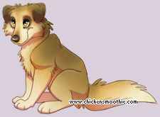 Pet