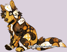 Pet