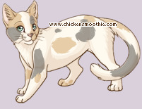 Pet