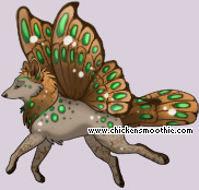Pet