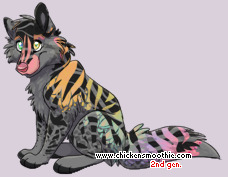 Pet