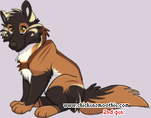 Pet