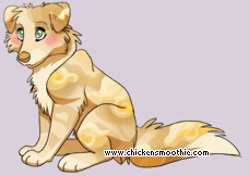 Pet
