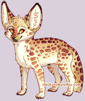 Pet