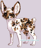 Pet