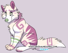 Pet