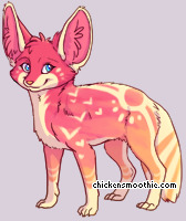 Pet