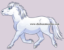 Pet