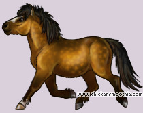 Pet