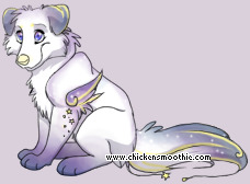 Pet