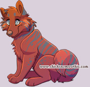 Pet