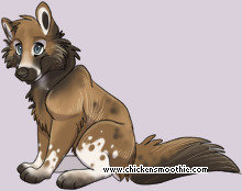 Pet