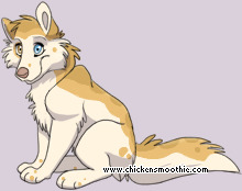 Pet