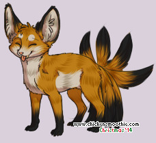 Pet