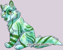 Pet