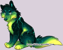 Pet