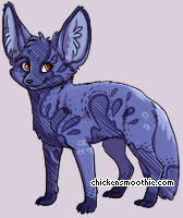 Pet