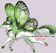 Pet