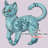 Pet