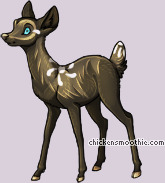 Pet