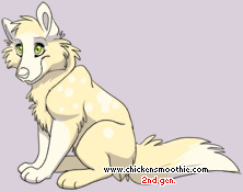 Pet