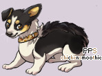 Pet