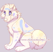 Pet