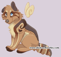 Pet