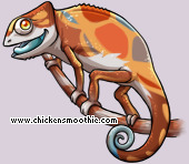 Pet