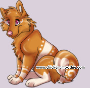 Pet