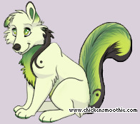 Pet