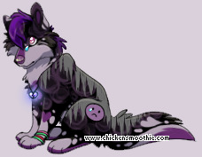 Pet
