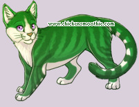 Pet