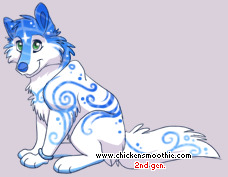 Pet