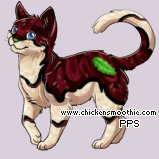 Pet