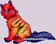 Pet