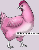Pet