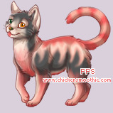 Pet