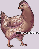 Pet