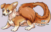 Pet