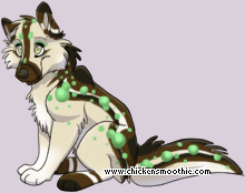 Pet
