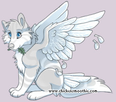 Pet
