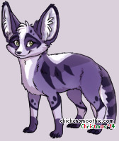 Pet