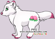 Pet