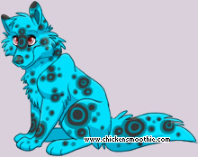 Pet