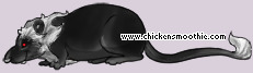 Pet